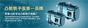 羅德轉(zhuǎn)子泵與南方某電機廠家技術(shù)交流，討論合作.