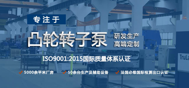 凸輪轉(zhuǎn)子泵生產(chǎn)廠家，專注于凸輪轉(zhuǎn)子泵的研發(fā)生產(chǎn)，高端定制